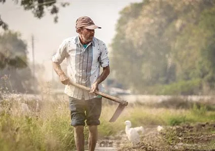 Rohtak Horticulture Subsidy Boosts Rural Farmer Income