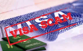 Mohali Visa Scam Victims Attack Consultant Office