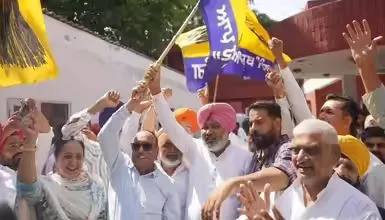 AAP Mohali Election Results Reveal Massive Victory