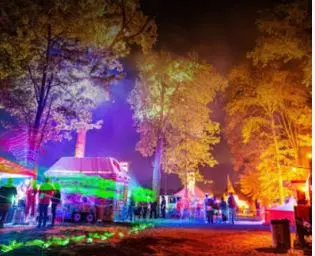 Psychedelic Forest Gathering Defies Court Orders