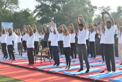 Yoga Day Celebrated Across Punjab Haryana Chandigarh