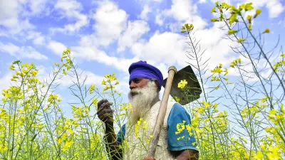 Indo-US Trade Deal Close But Farmers Distrust Government