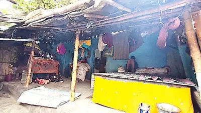 Rasakhowa Cattle Market Decline Hits Jalil Akhtar Hard