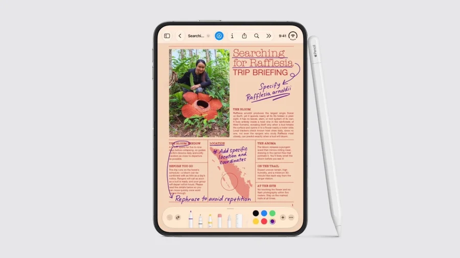 Can You Use Apple Pencil With iPhone? Compatibility Guide