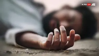 30-Year-Old Man Dies After Falling From Stands During Football Match In Kashmir